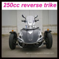 Горячая распродажа 250cc дешевая цена 3-колесо atv